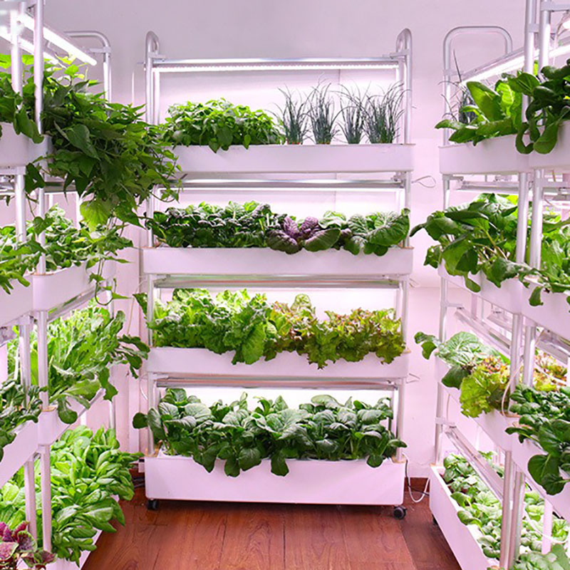 Sistem Tumbuh Hidroponik Verti - Hydroponic Tower Planter ulasan dan harga