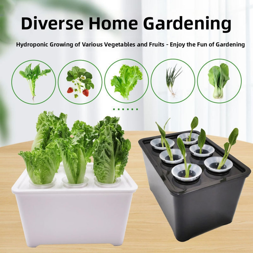 Kit Ember Tanaman Putih Hitam  - Urban Farming Is ulasan dan harga