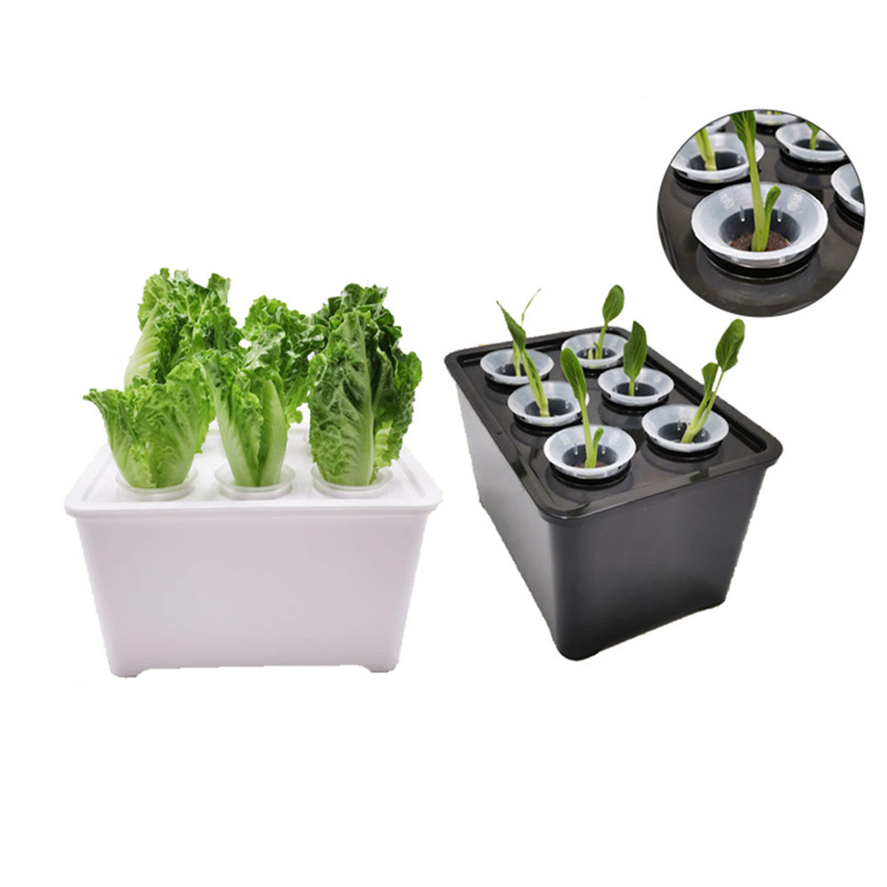 Kit Ember Tanaman Putih Hitam  - Urban Farming Is ulasan dan harga