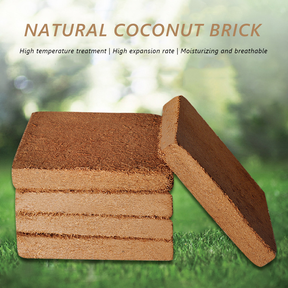 Blok Serat Organik Universal d - Coco Coir Block ulasan dan harga